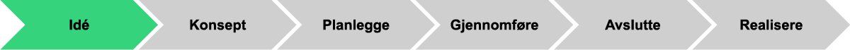 Faser i IT-prosjekter.png